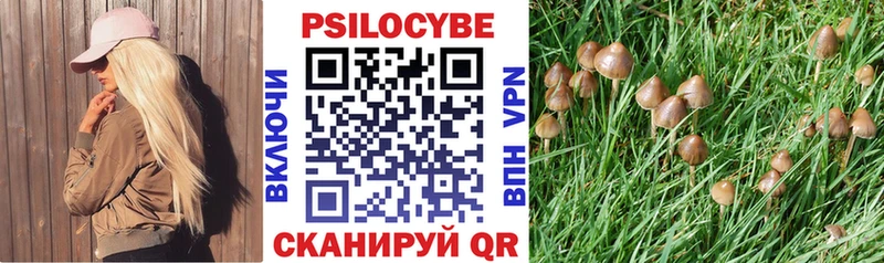 продажа наркотиков  Калачинск  hydra зеркало  Галлюциногенные грибы GOLDEN TEACHER 